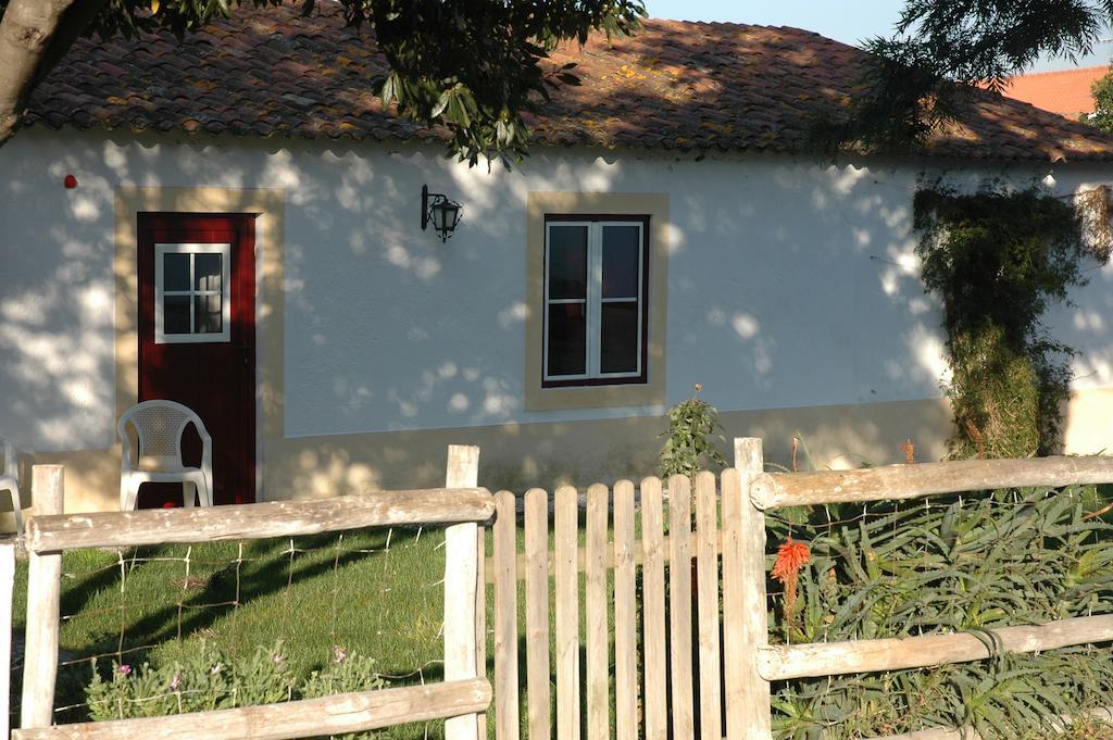 Casa Da Tia Guida Bed & Breakfast Golega Exterior photo